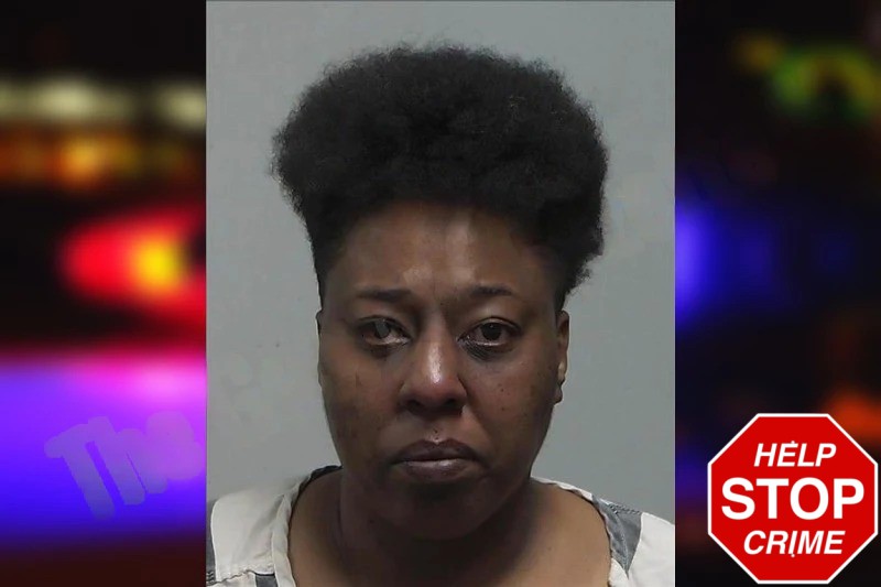 Cara Bristol Mugshots