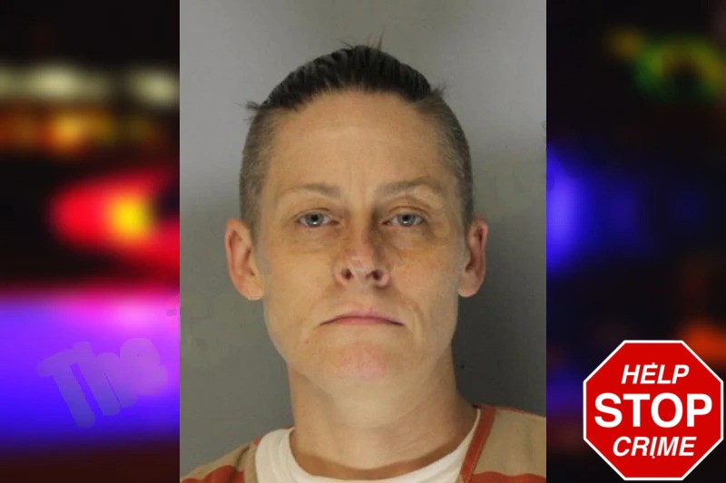 Carol Hanes Mugshots