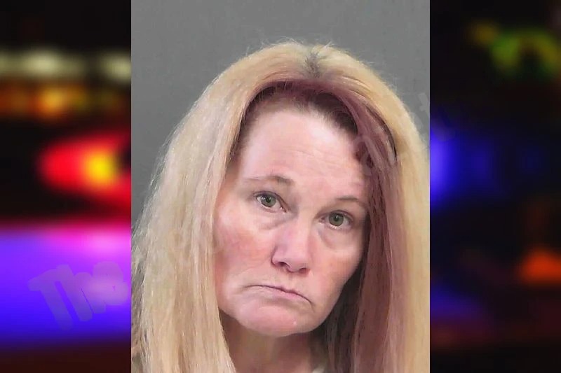 Carol Lively Mugshots