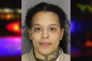 Carolanne Johnson mugshot