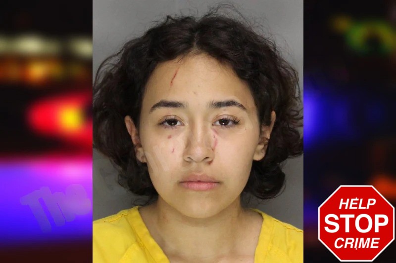 Carolina Villa mugshot