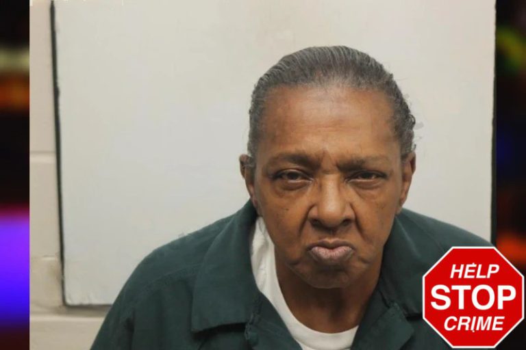 Carolyn Perry mugshot – Chatham County , Georgia Carolyn Perry