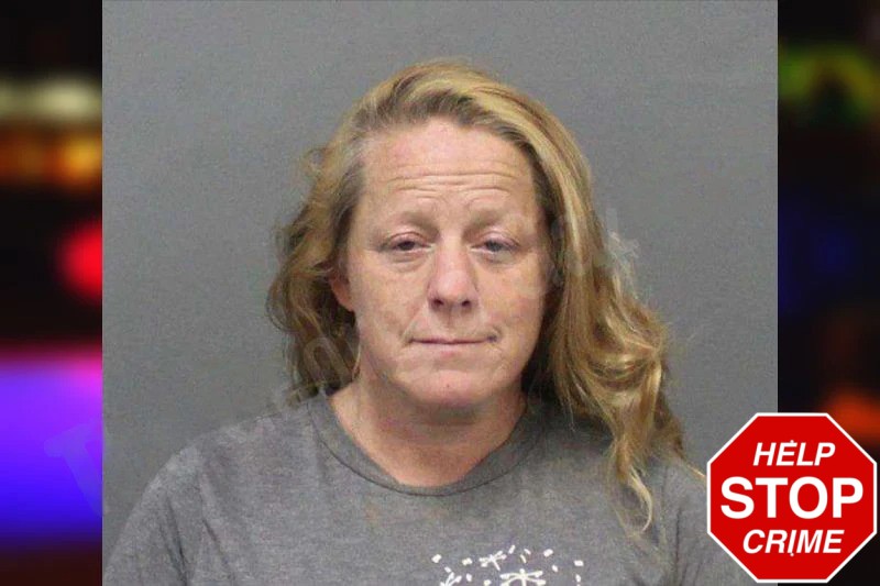 Carolyn Watts mugshot – White County , Georgia Carolyn Watts mugshot