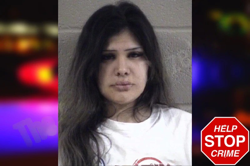 Casandra Trevino Mugshots