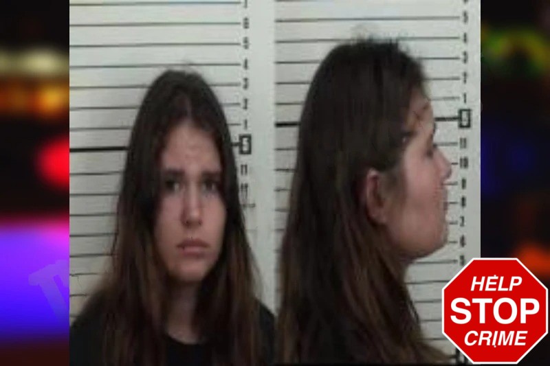 Cassandra Williams Mugshots