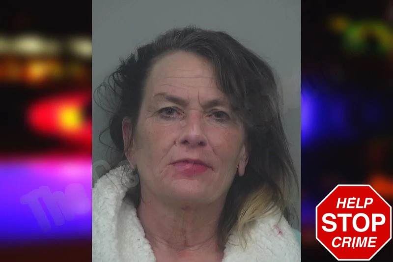 Catherine Amster mugshot – Gwinnett County , Georgia Catherine Amster mugshot