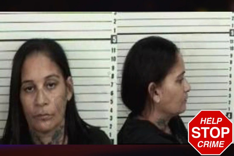Catherine Rodriguez Mugshots