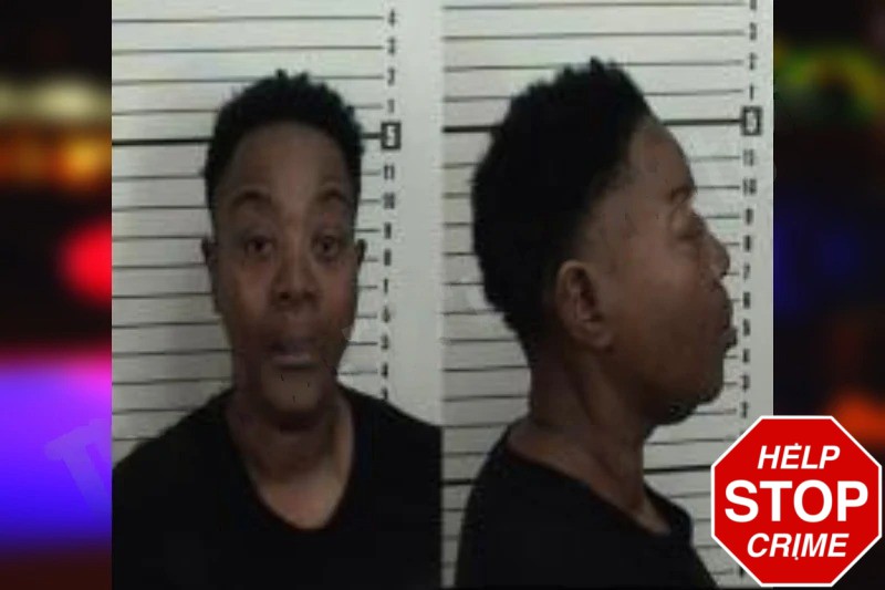 Cathyann Joseph Mugshots