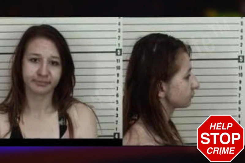 Cecelia Grisafe Mugshots