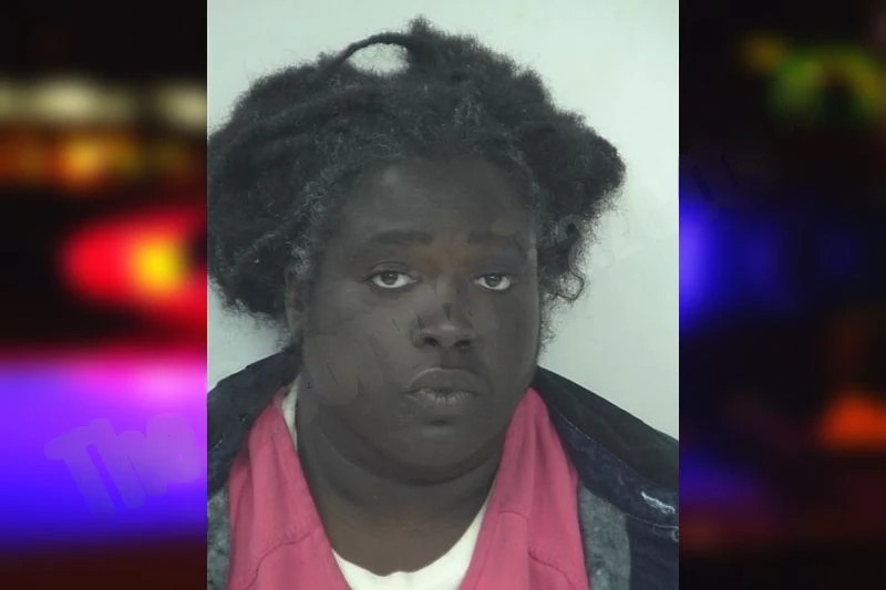 Cerise Fitzgerald Mugshots