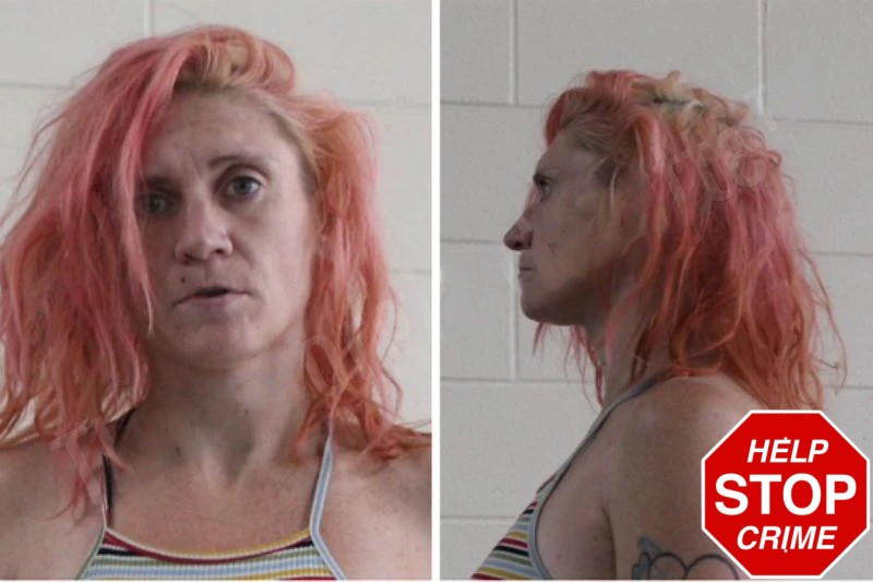 Chandra Dees Mugshots