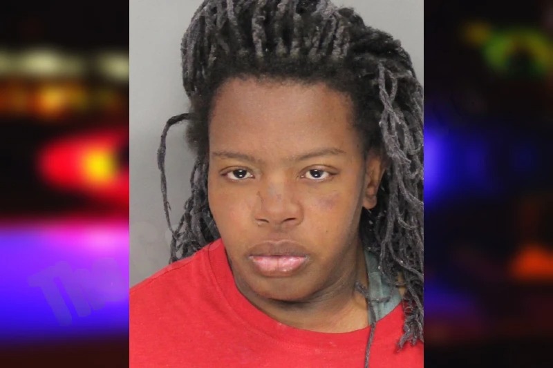 Channell Green mugshot