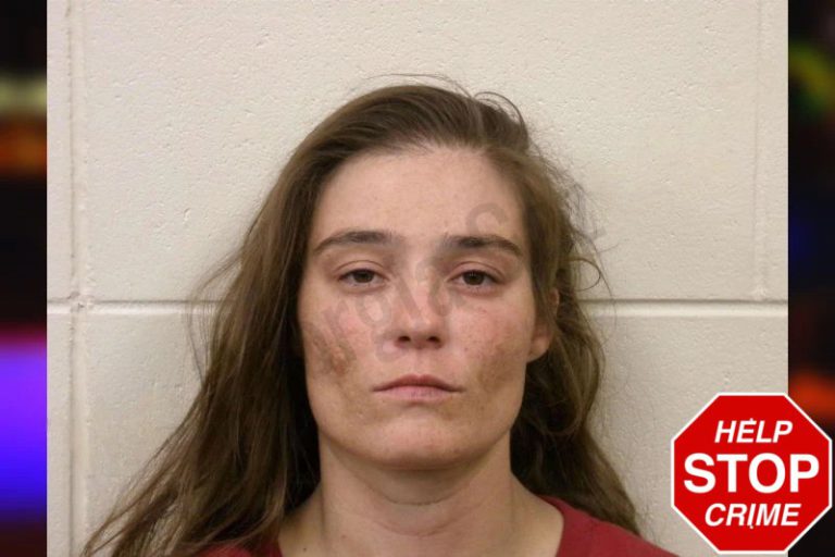 Chansley Parker mugshot – Bulloch County , Georgia Chansley Parker
