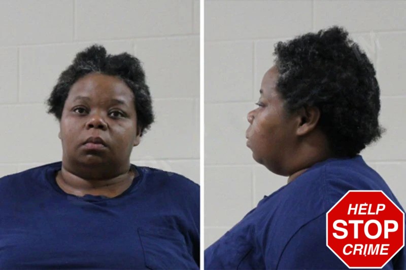 Chantas Little Mugshots