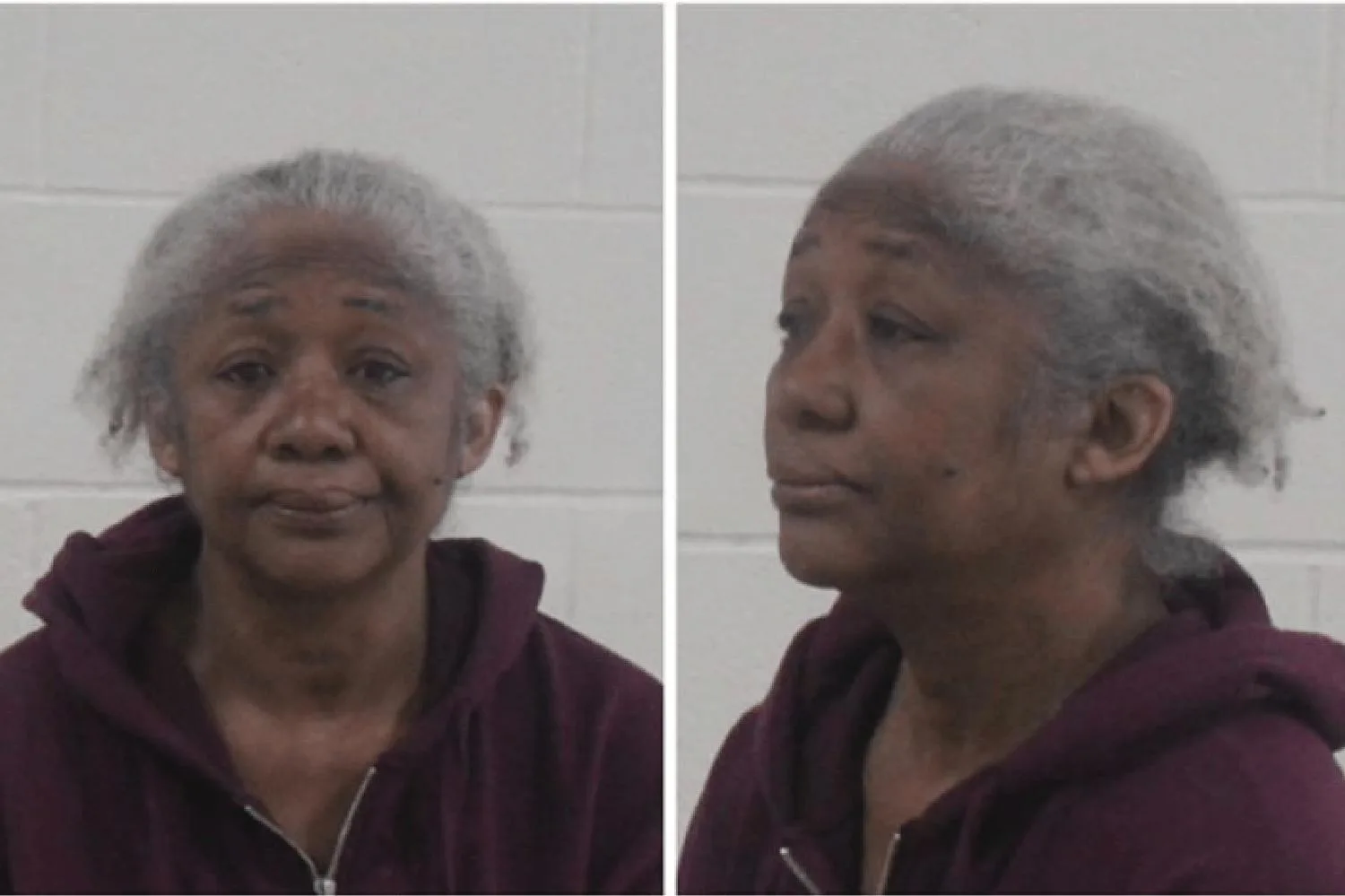 Charlette Fluellen Mugshots