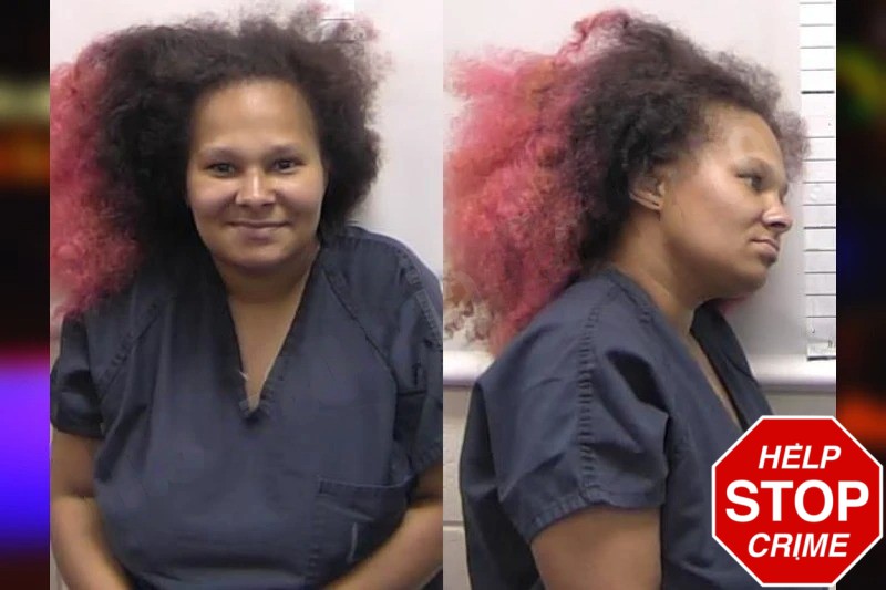 Chasity Hamby mugshot