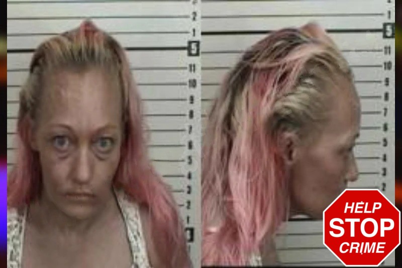 Chassity Butts Mugshots