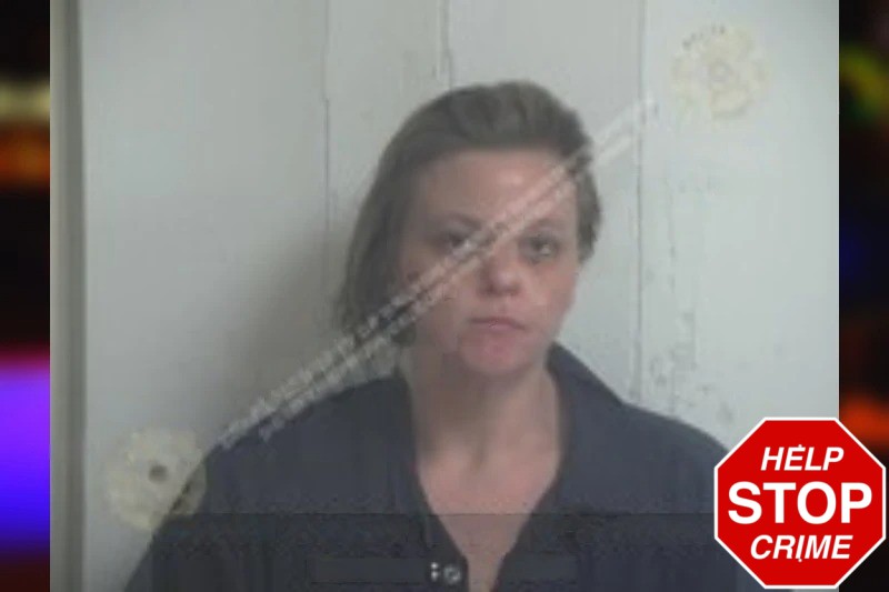 Chastity Hawkins Mugshots