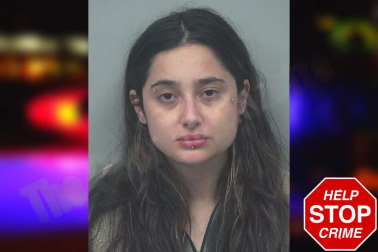 Chastity Patel mugshot – Gwinnett County , Georgia Chastity Patel