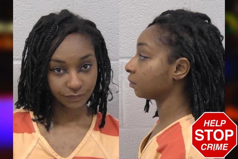 Chelsea Ashley mugshot – Paulding County , Georgia Chelsea Ashley mugshot