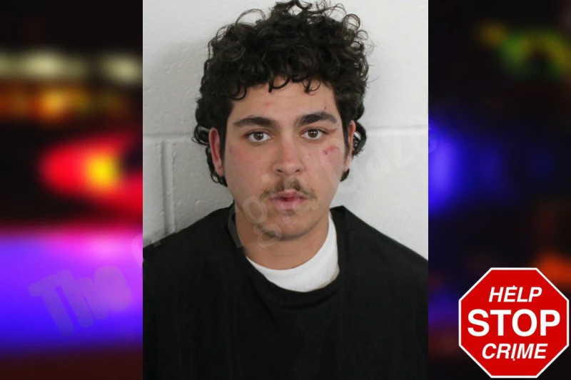 Chelsea Martinez mugshot