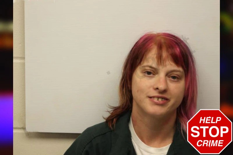 Chelsea McElveen Mugshots