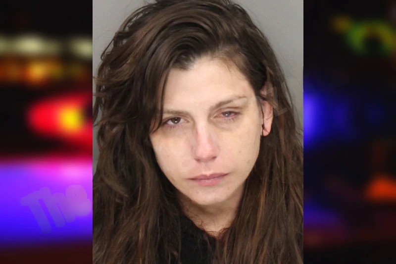 Chelsea Metz Mugshots