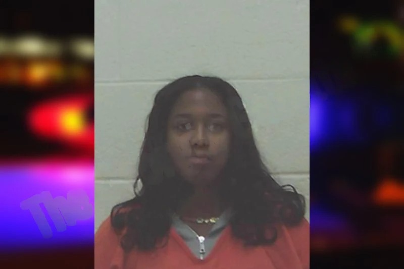 Chelsea Wilkerson Mugshots