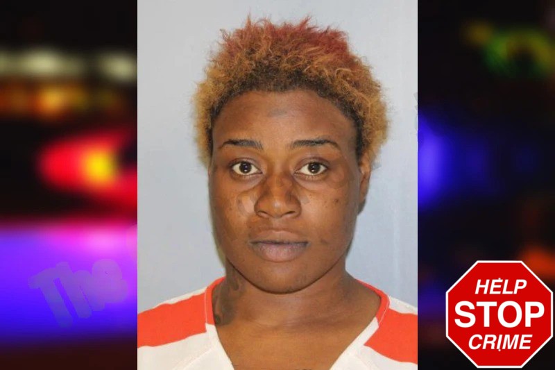 Cheraline Cherezy Mugshots