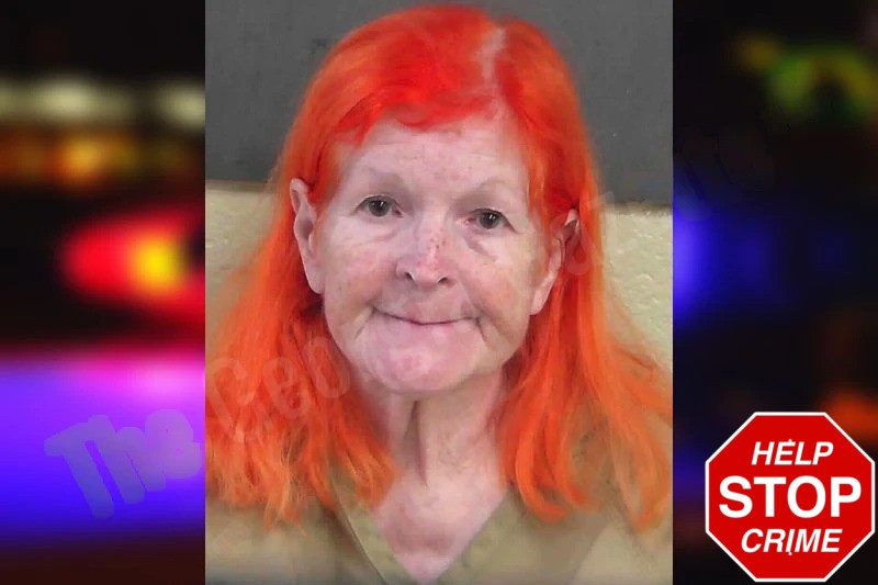 Cherie Hopkins Mugshots