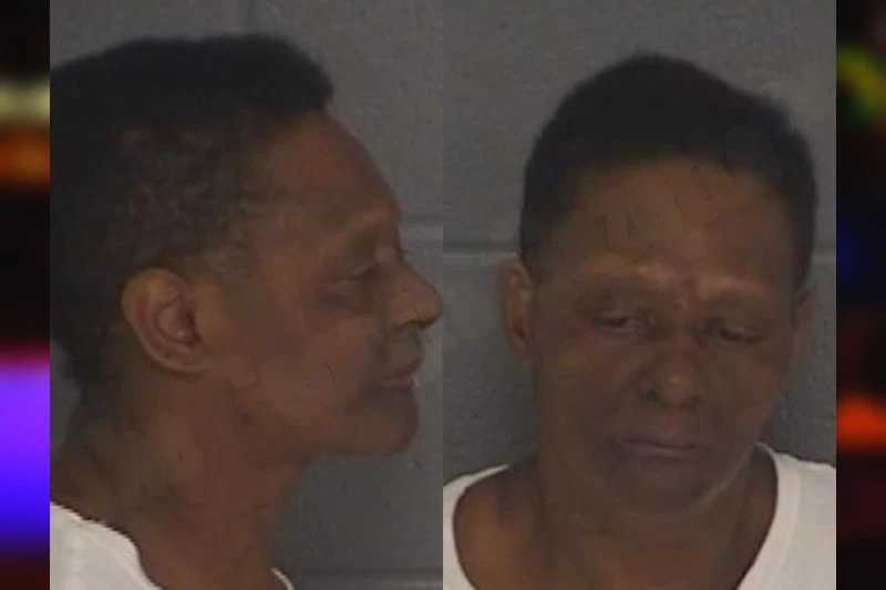 Cherye Johnson Mugshots