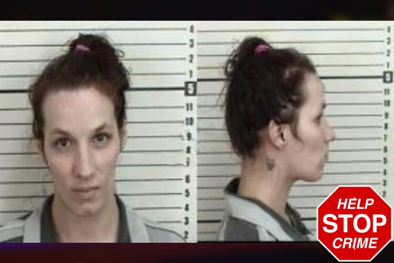 Cheyenne Perez Mugshots