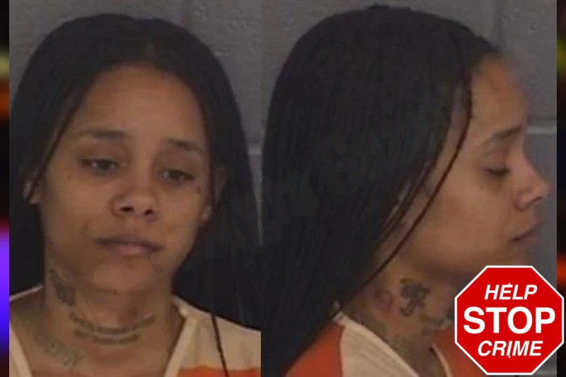 Cheyenne Williams Mugshots
