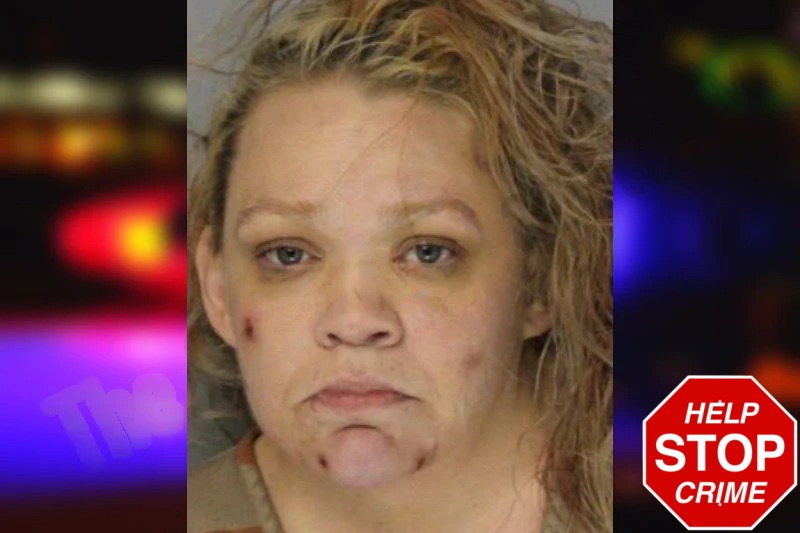 Chrisie Lundquist mugshot