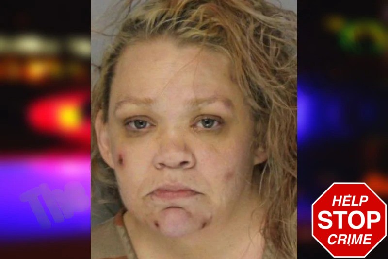 Chrisie Lundquist Mugshots