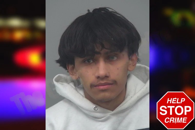 Christian Teresa Suastegui Mugshots