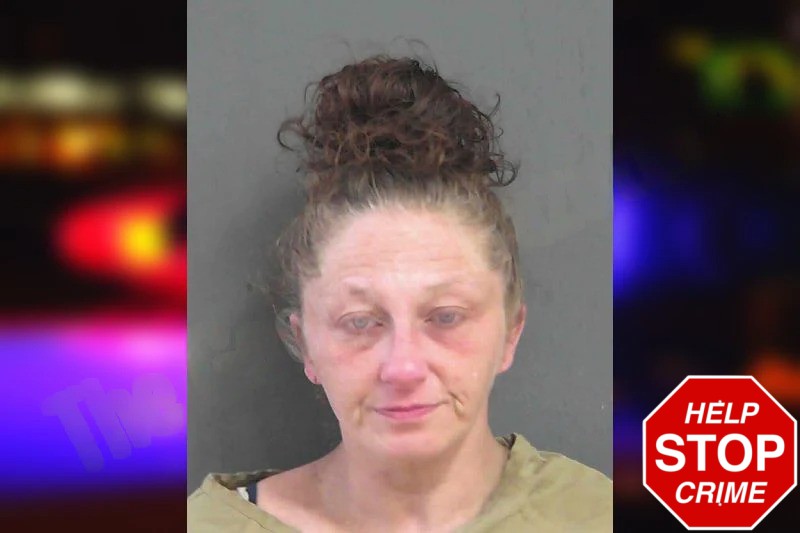 Christie Stansell Mugshots