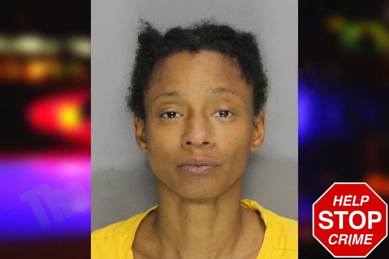 Christina Benford Mugshots