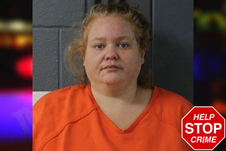 Christina Finley mugshot – Lumpkin County , Georgia Christina Finley