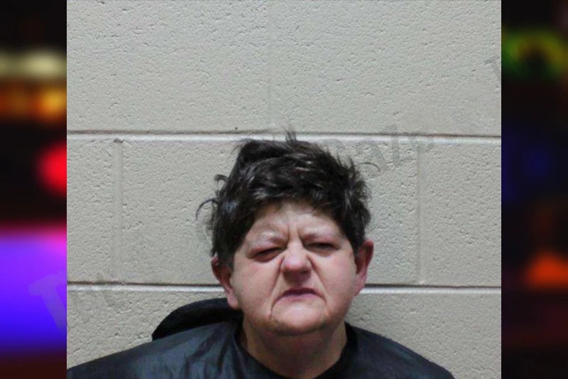 Christina Flowers mugshot – Haralson County , Georgia Christina Flowers mugshot