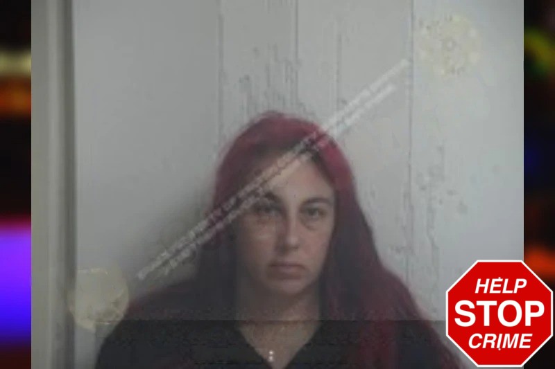 Christina Howard Mugshots