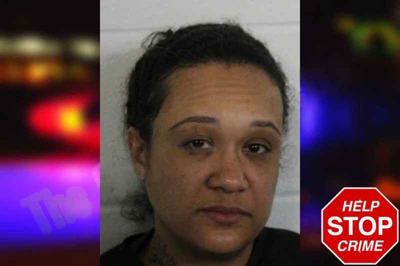 Christina Johnson Mugshots