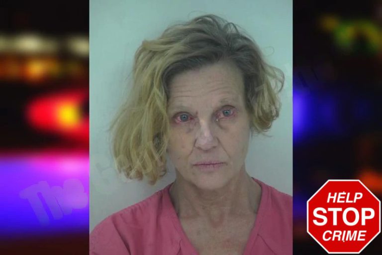 Christina Lee mugshot – Fayette County , Georgia Christina Lee