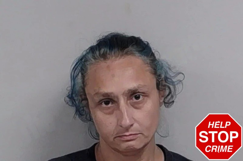 Christina Ray Mugshots