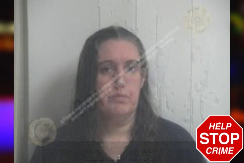 Christina Ryder Mugshots