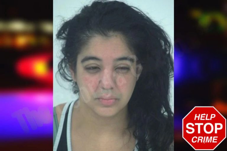 Christina Scott mugshot – Fayette County , Georgia Christina Scott