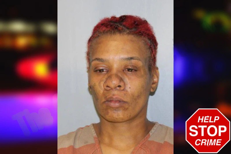 Christina Tye Mugshots