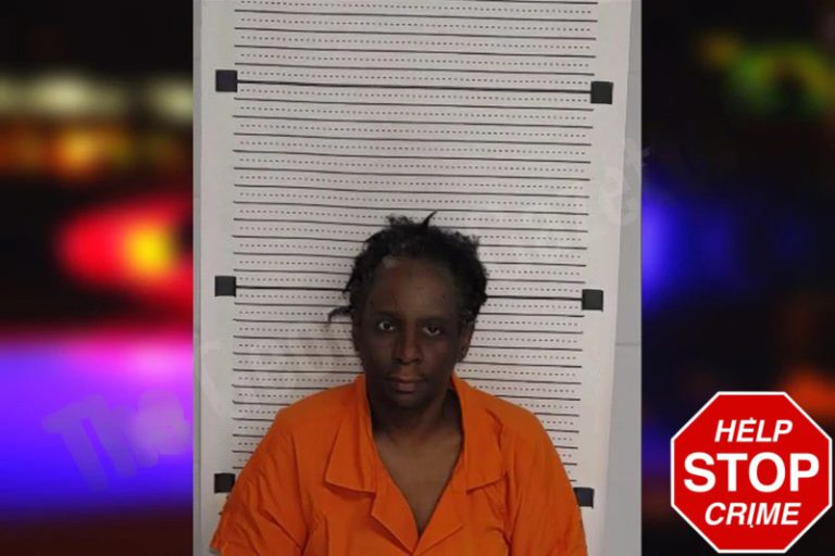 Christine Lee mugshot – Rockdale County , Georgia Christine Lee