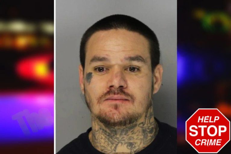 Christopher Nguyen mugshot – Hall County , Georgia Christopher Nguyen