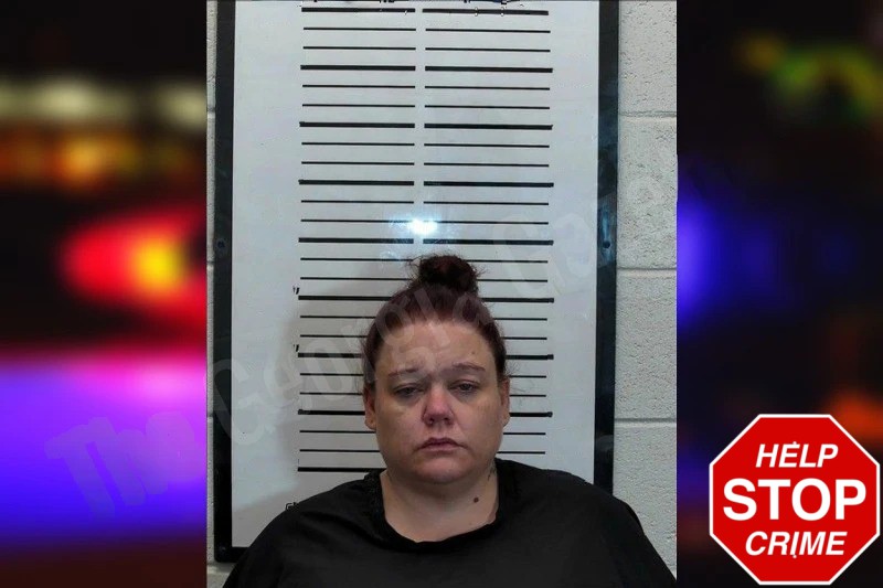 Christy Gomez Mugshots